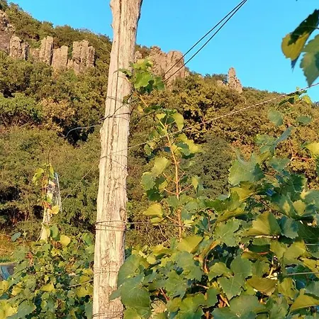 Hollofeszek Vendeghaz *