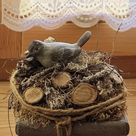 Hollofeszek Vendeghaz