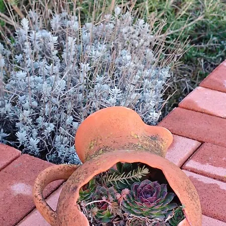 Hollofeszek Vendeghaz Apartmán *