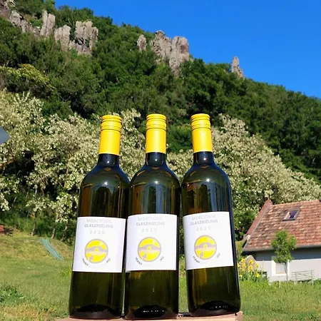 Hollofeszek Vendeghaz Apartmán