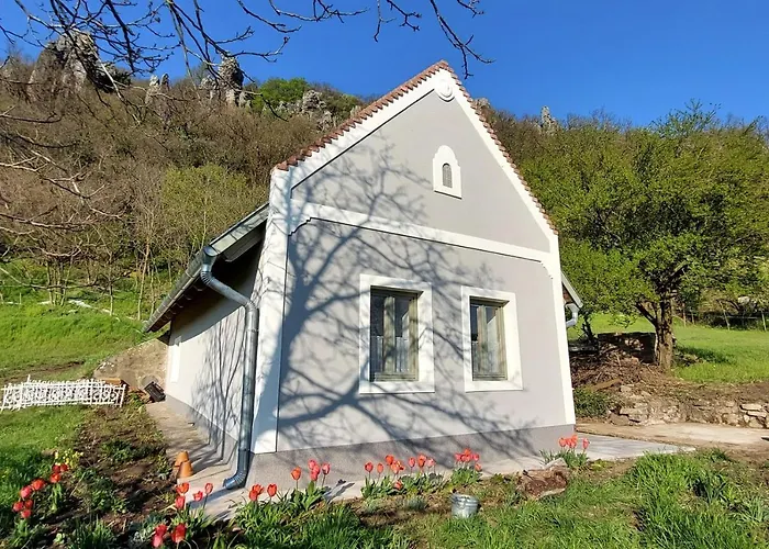 Daire Hollofeszek Vendeghaz *