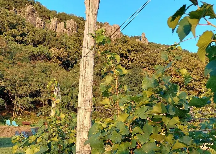 Hollofeszek Vendeghaz *