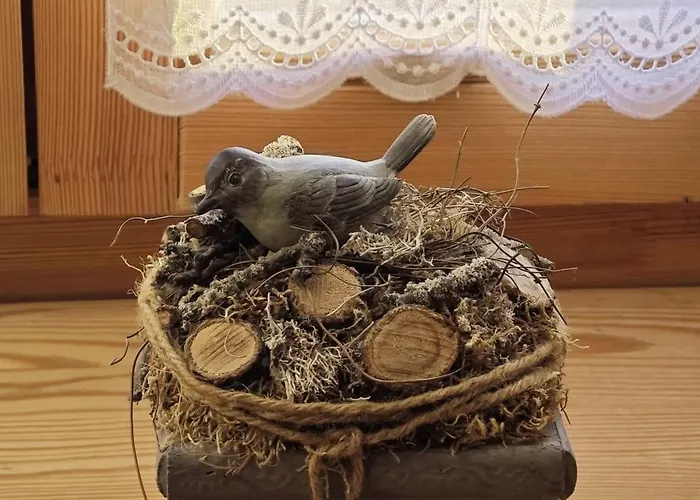 Hollofeszek Vendeghaz