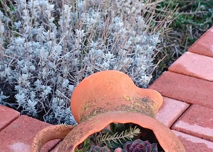 Hollofeszek Vendeghaz Daire *