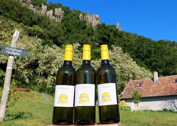 Hollofeszek Vendeghaz Daire